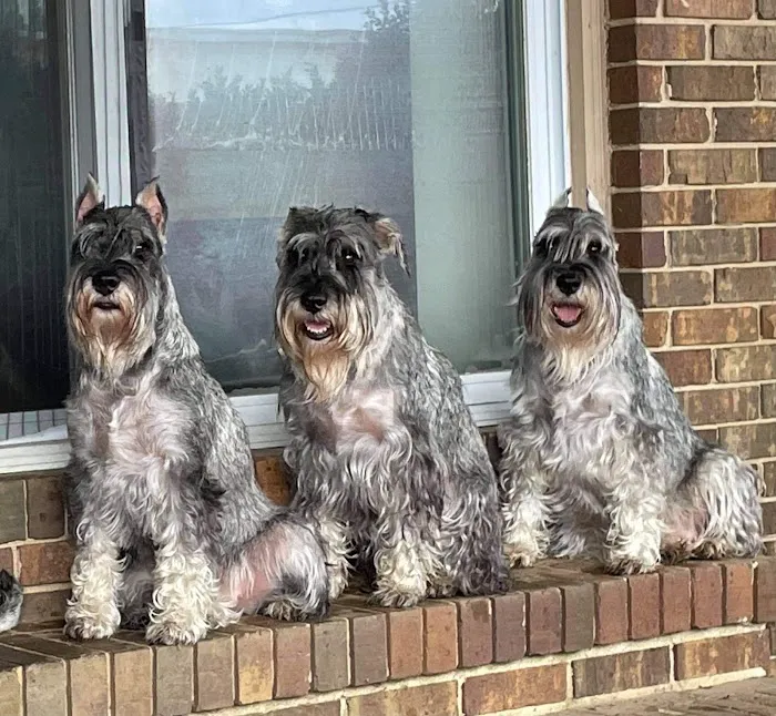 Family Pet Health Care 8