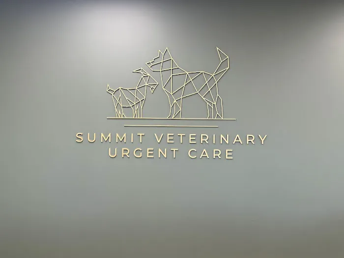 Summit Veterinary Urgent Care 6