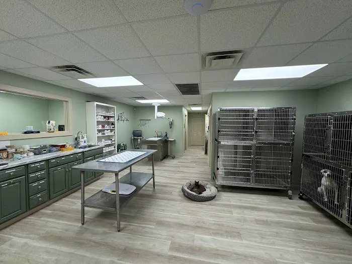 Summit Veterinary Urgent Care 10