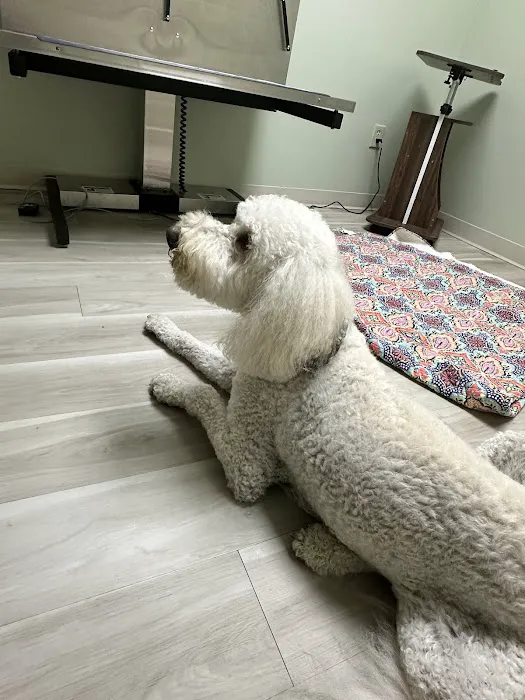 Summit Veterinary Urgent Care 2