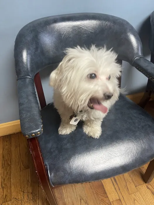 Pet Wellness Clinic, Inc. 1