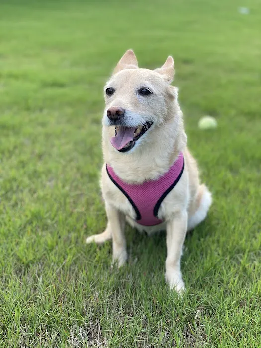 Jackson Pet Emergency Clinic 1