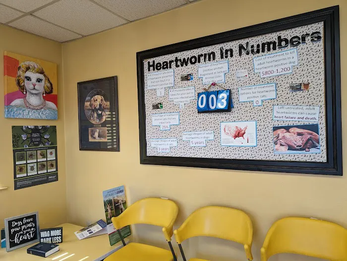 Jackson Animal Clinic 2