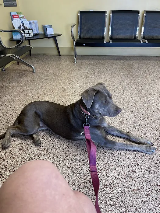 Jackson Animal Clinic 4