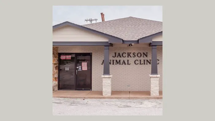 Jackson Animal Clinic 9