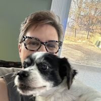Northside Animal Clinic ico