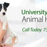 University Parkway Animal Hospital ico