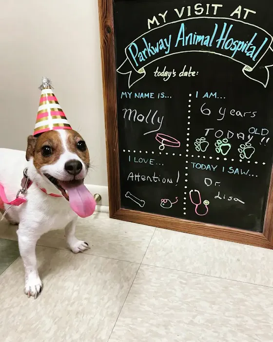 Parkway Animal Hospital 3