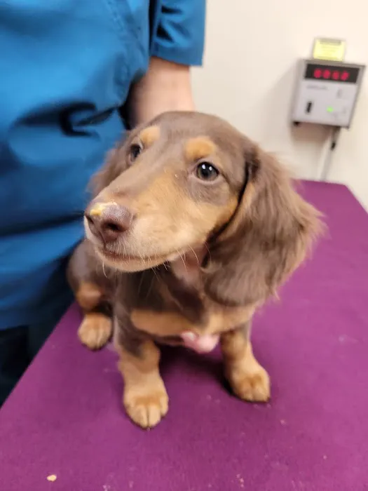 Parkway Animal Hospital 10