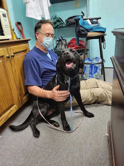 Parkway Animal Hospital 1