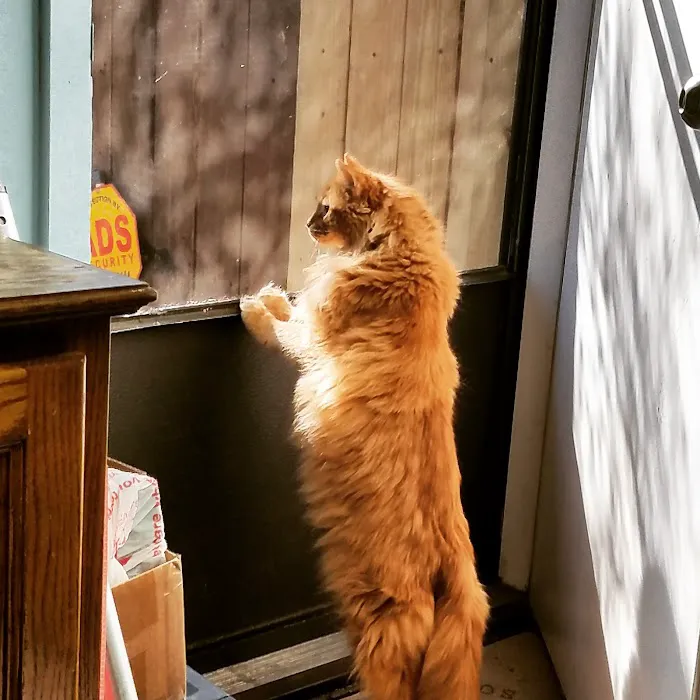 Parkway Animal Hospital 5