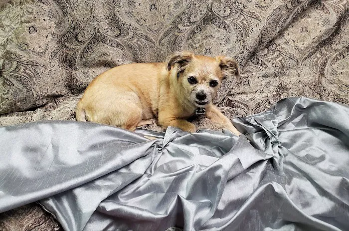 Parkway Animal Hospital 2