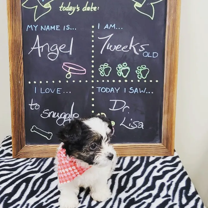 Parkway Animal Hospital 9