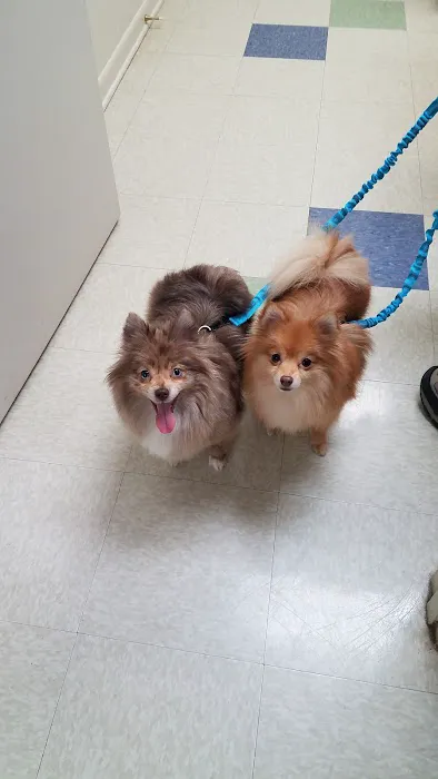 Parkway Animal Hospital 8