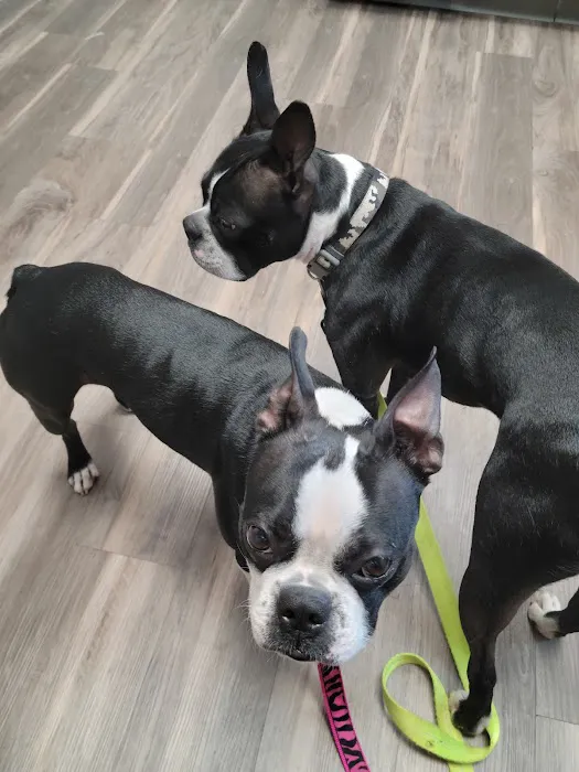 North Madison Animal Hospital 2