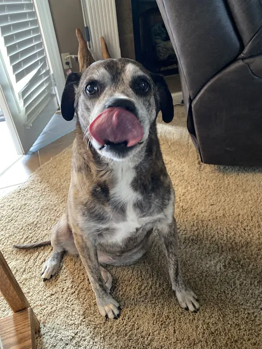 North Madison Animal Hospital 3
