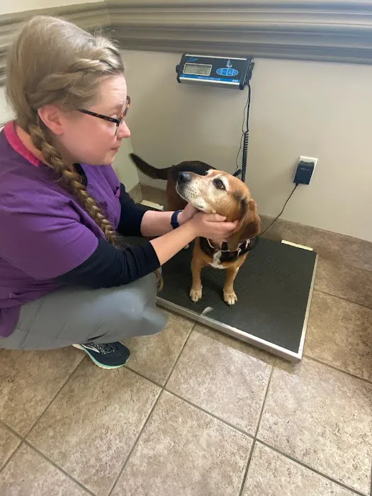 Carlton Animal Clinic 8