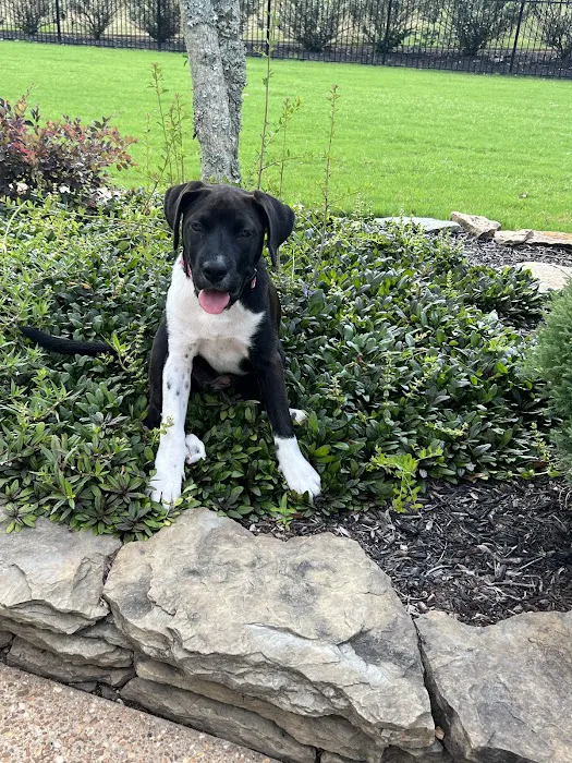 Hub City Animal Hospital 6