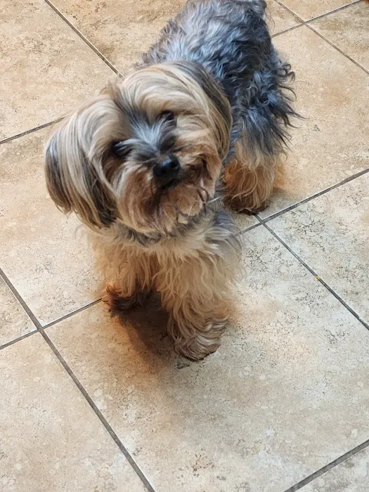 Hub City Animal Hospital 5