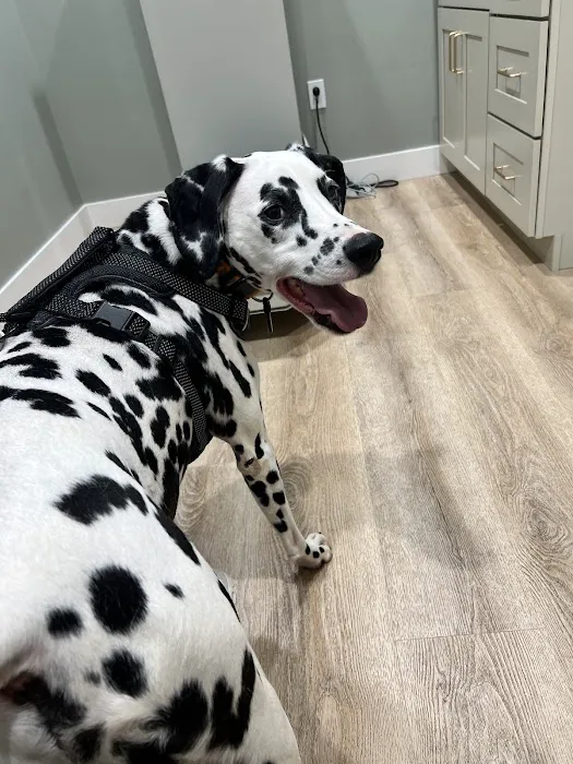 Hub City Animal Hospital 10