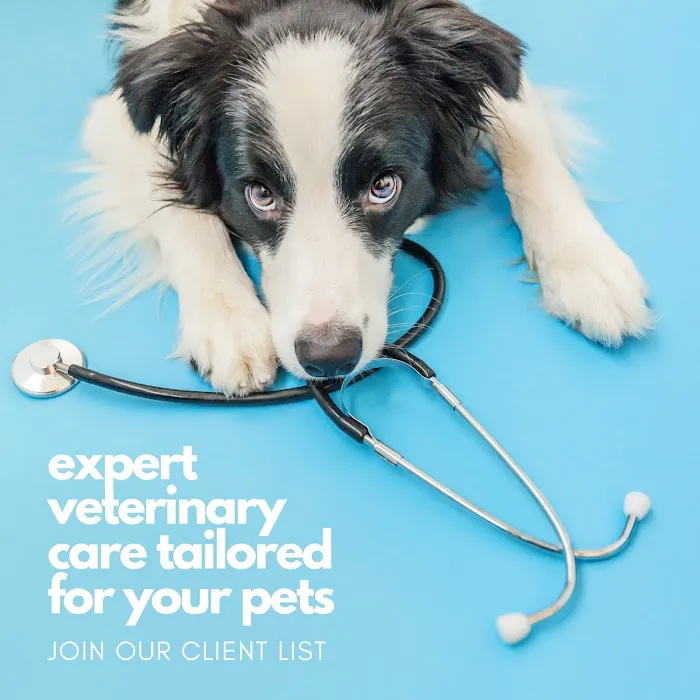 Hub City Animal Hospital 7