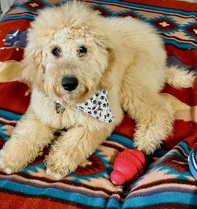 Hub City Animal Hospital 4