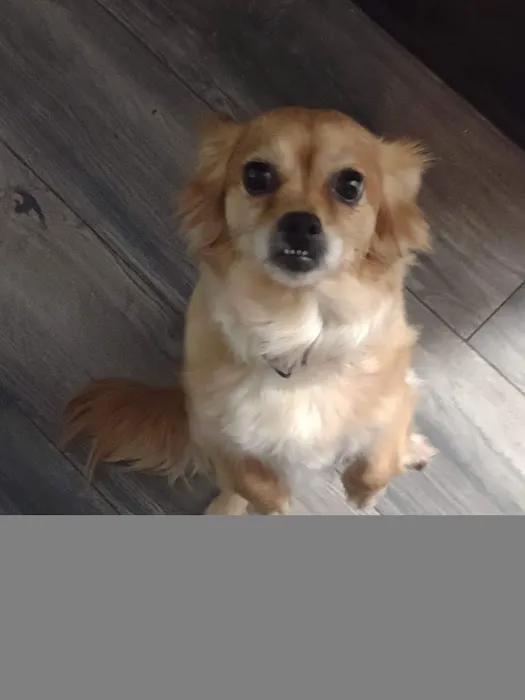 Hub City Animal Hospital 1