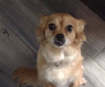Hub City Animal Hospital