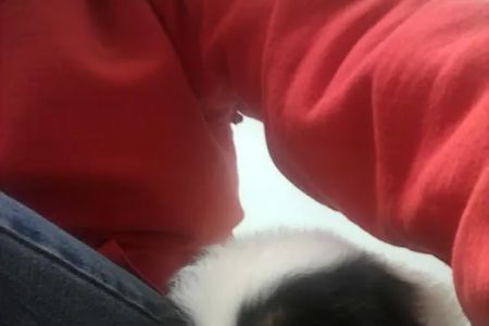 Preferred Veterinary Care