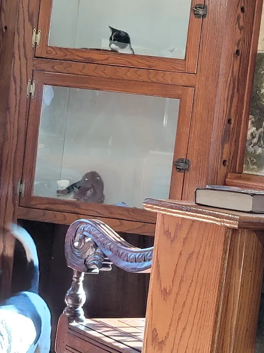 St Bethlehem Animal Clinic 12