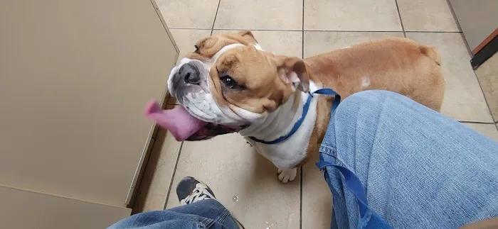 St Bethlehem Animal Clinic 12