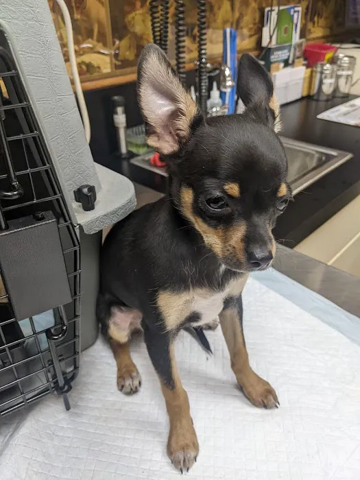 St Bethlehem Animal Clinic 12