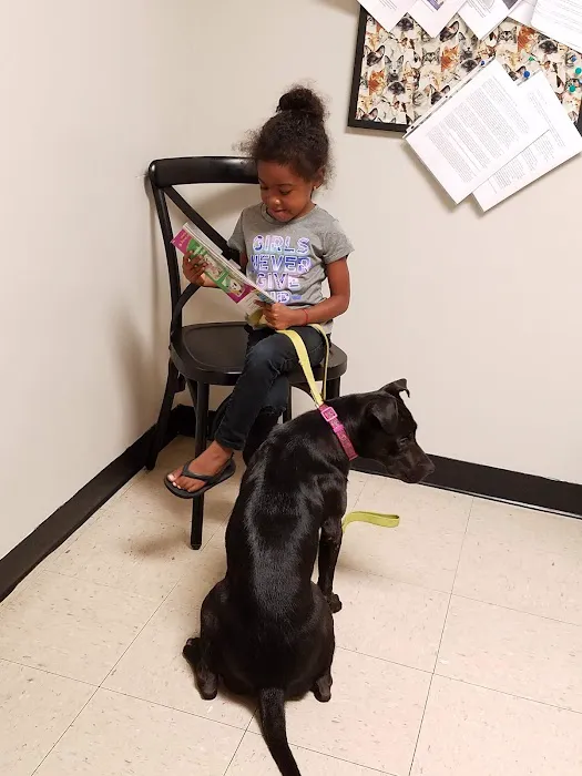 All God's Creatures Veterinary Clinic 12