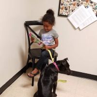 All God's Creatures Veterinary Clinic ico
