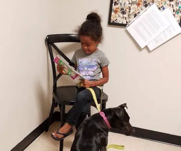 All God's Creatures Veterinary Clinic