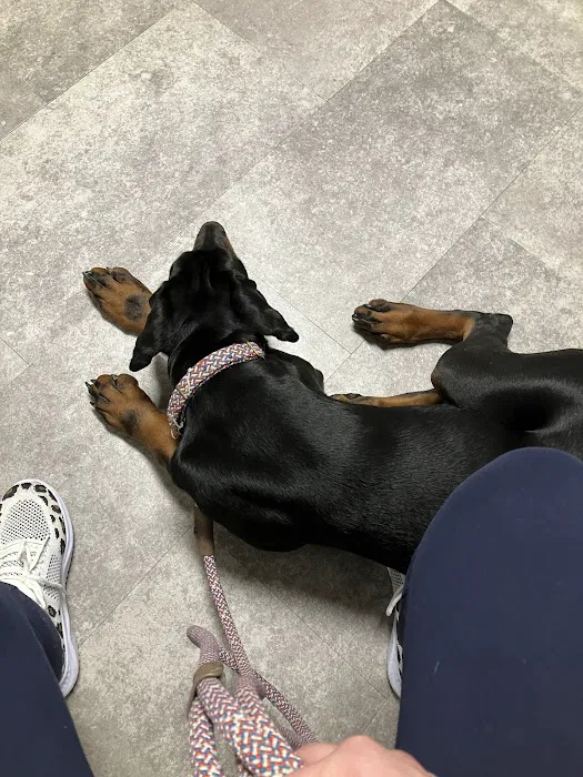 All God's Creatures Veterinary Clinic 12