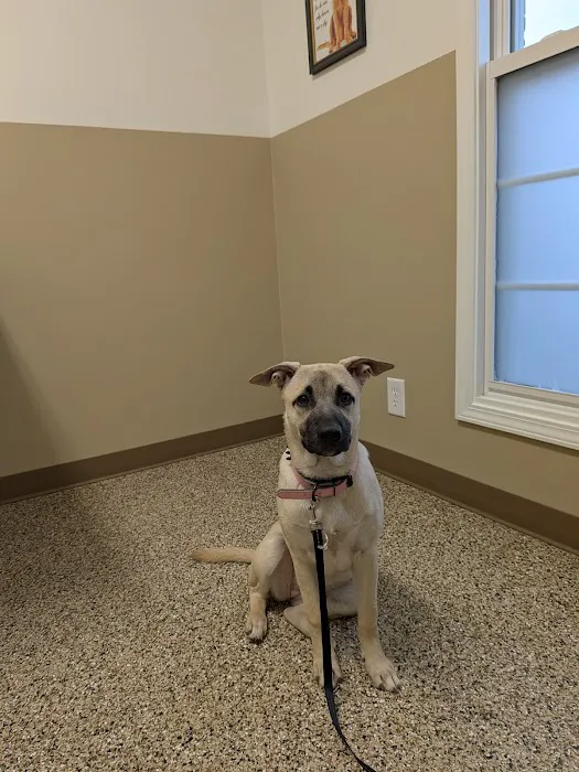 Blake Veterinary Clinic 12
