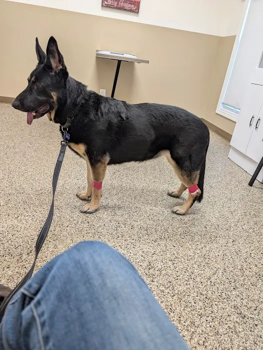 Blake Veterinary Clinic 12