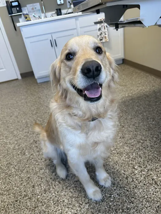 Blake Veterinary Clinic 12