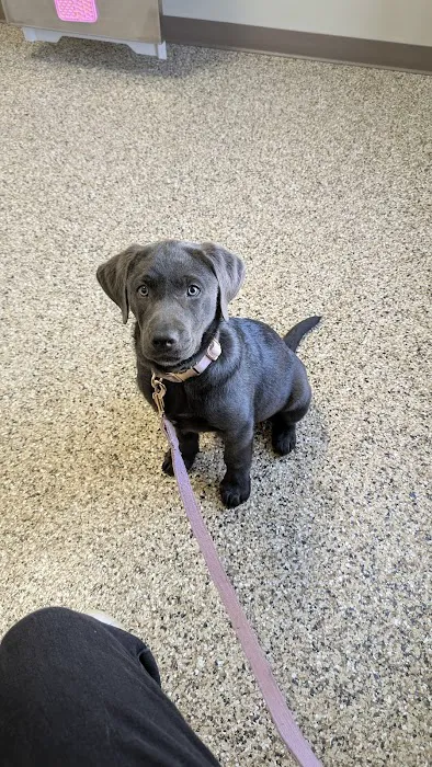 Blake Veterinary Clinic 12