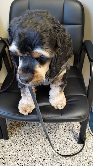 Blake Veterinary Clinic 12