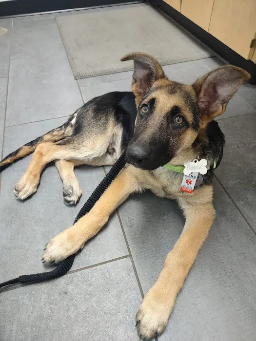Banfield Pet Hospital 12