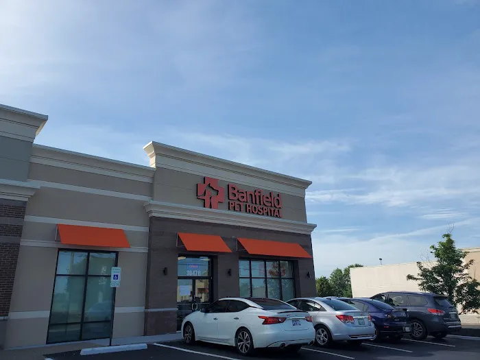 Banfield Pet Hospital 12