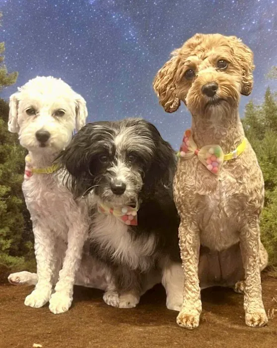 Banfield Pet Hospital 12