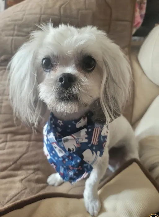 Banfield Pet Hospital 12