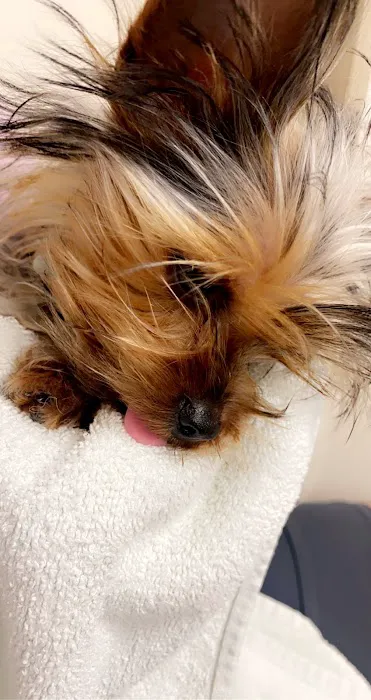 Animal Hospital: Hill S L DVM 12