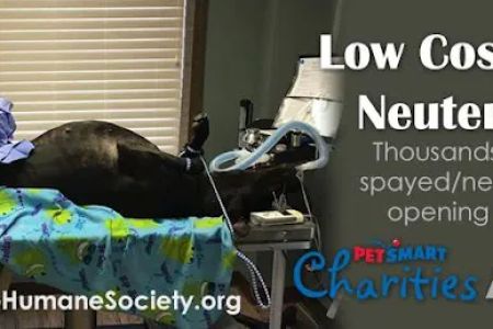 Humane Society of Clarksville-Montgomery County