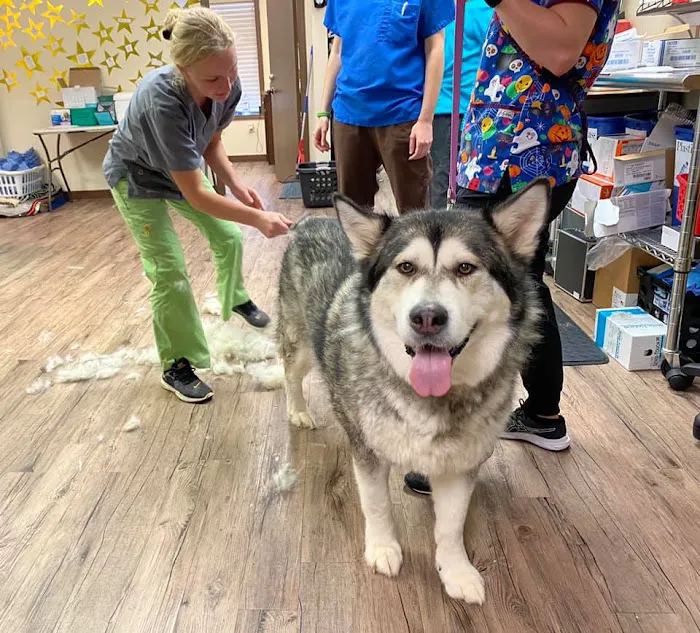Humane Society of Clarksville-Montgomery County 12