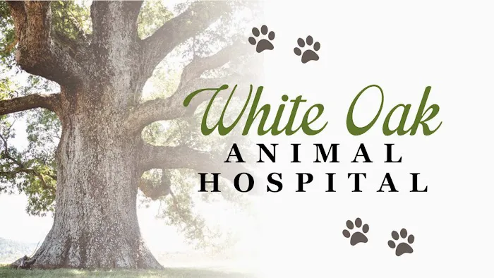 White Oak Animal Hospital - Clinic & Holistic Telemedicine 2