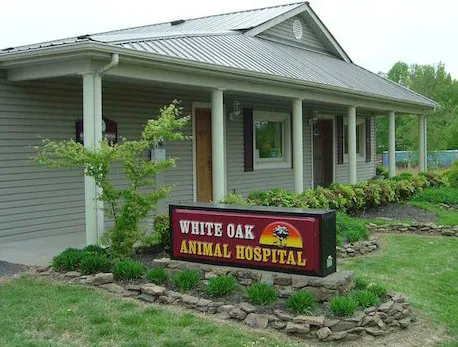 White Oak Animal Hospital - Clinic & Holistic Telemedicine 8